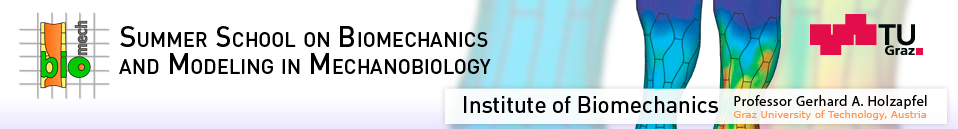 Summerschool Header